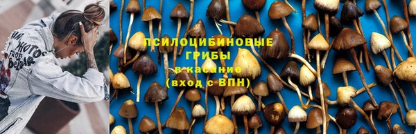 дистиллят марихуана Белокуриха