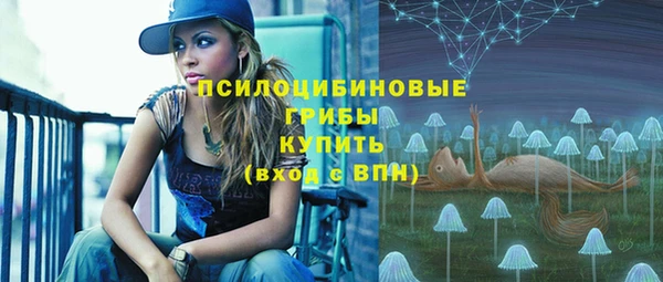 соль ск Балабаново