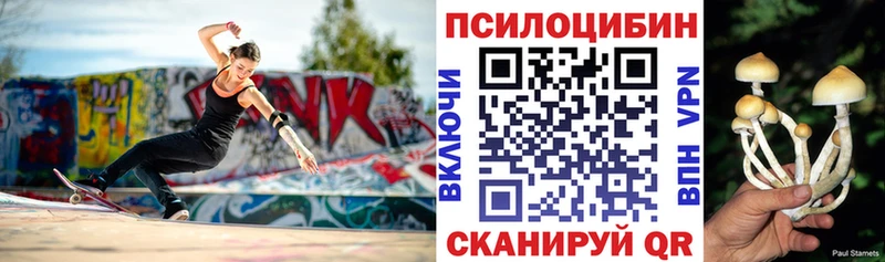 Псилоцибиновые грибы Cubensis  МЕГА ONION  Еманжелинск 